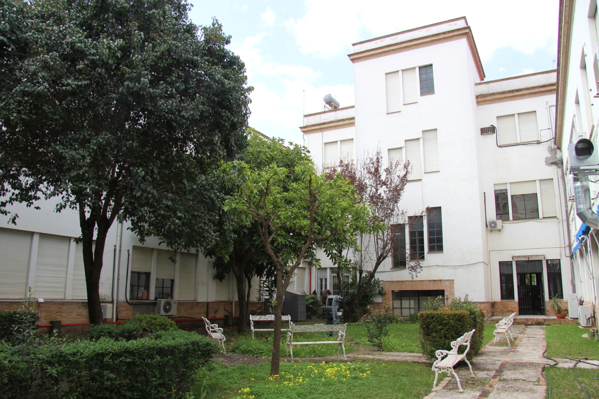 Escuela Politécnica Superior