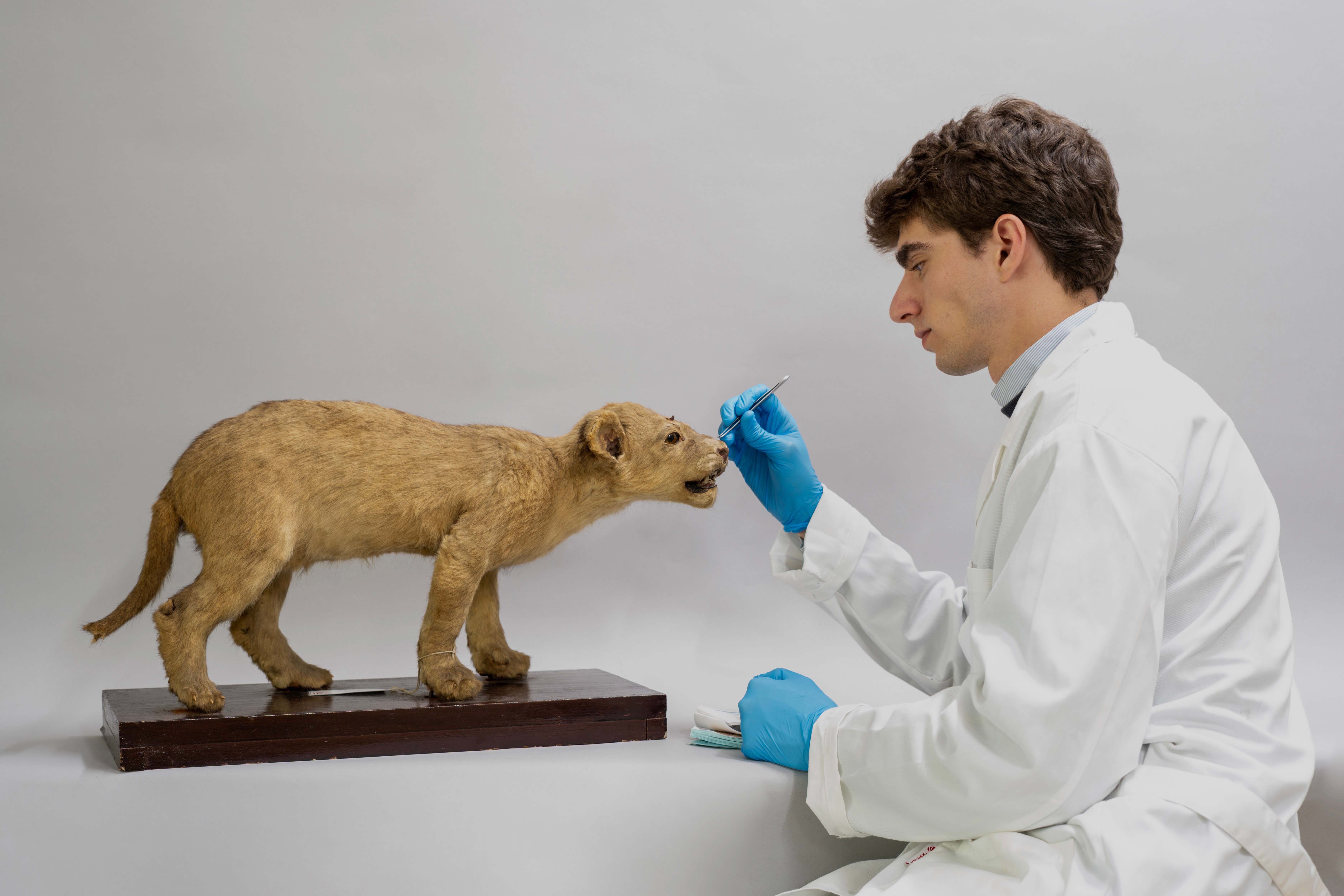 La US culmina la catalogación patrimonial de su colección zoológica del siglo XIX - Imagen de la noticia 2