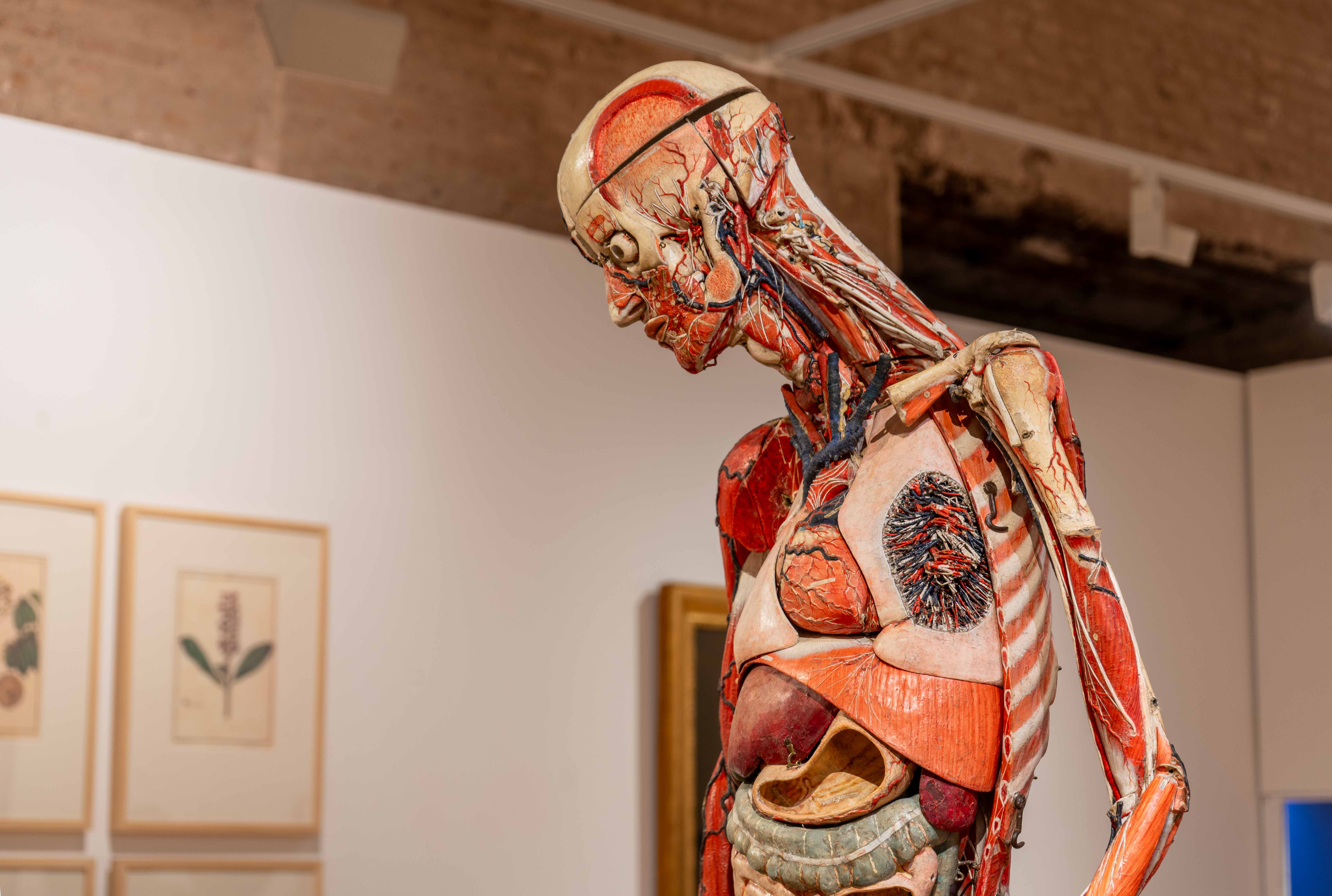 La exposición «Pluriversal» galardonada con el segundo Accésit de los Premios Expone Andalucía - Imagen de la noticia 2