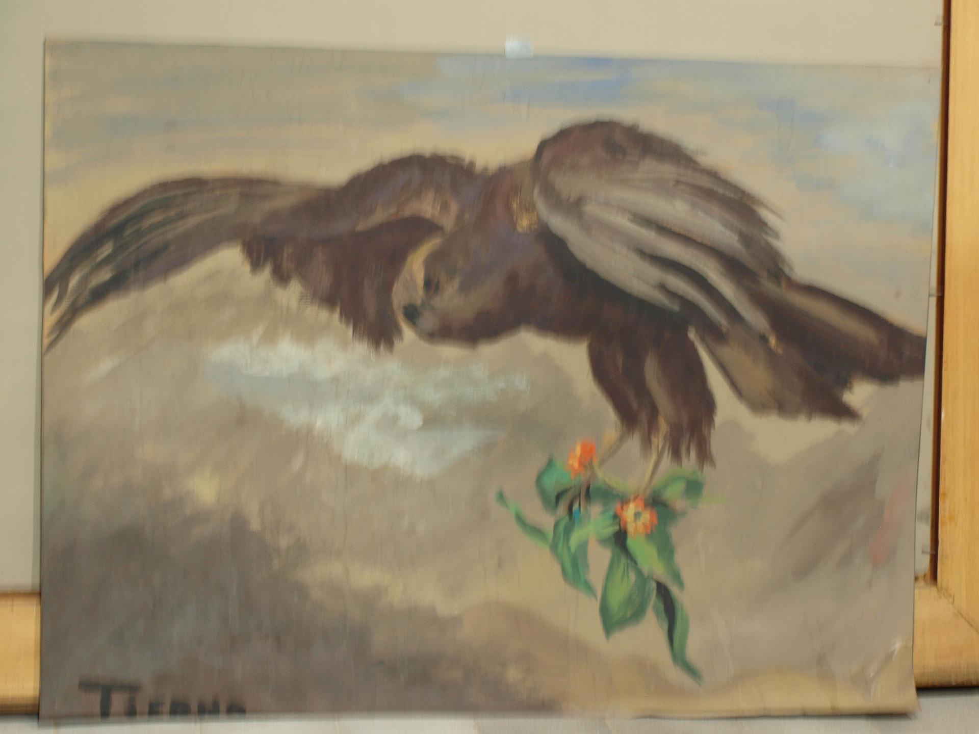 Águila