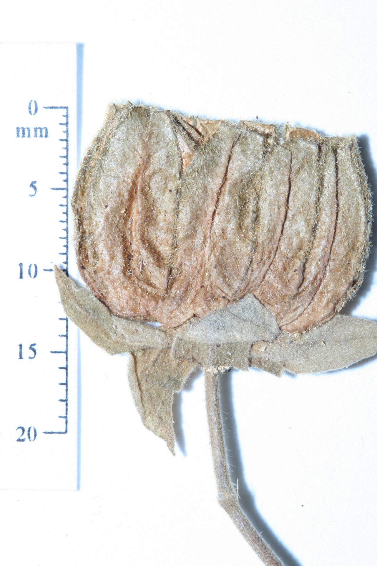 sZdzP3j5Xn202505281228.jpg