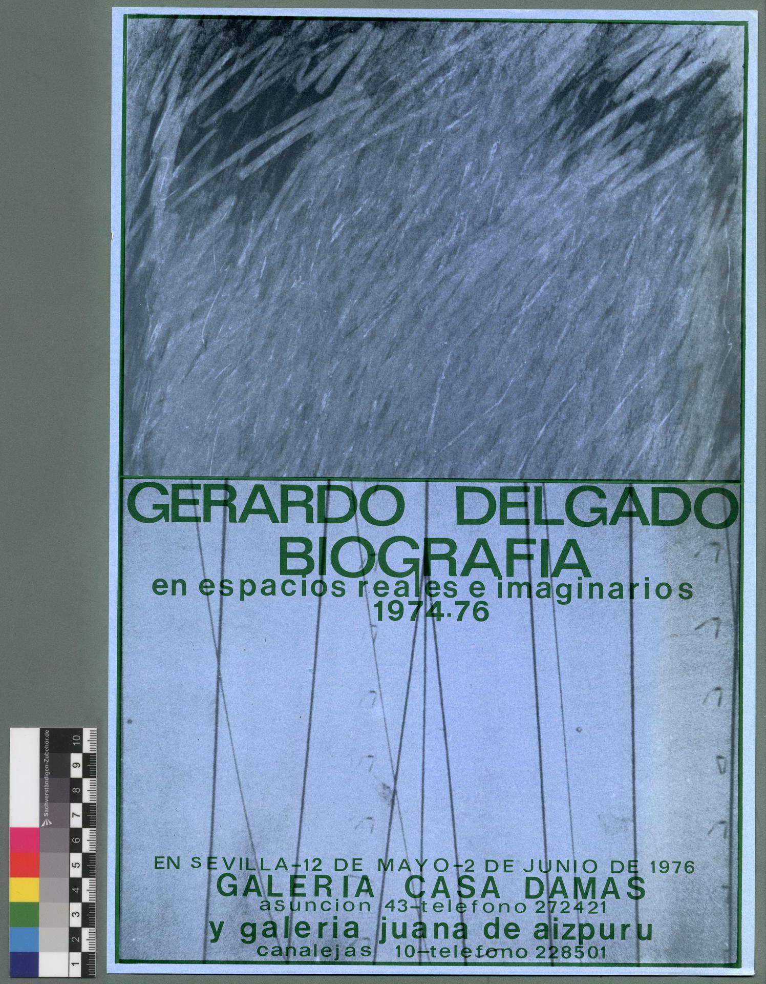 vc6gWk0ILd202412180900.jpg